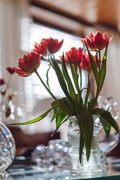 Tulipes dans un vase en cristal au soleil du matin sur Jonai