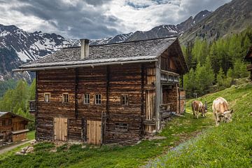 Hutten op de Oberstalleralm (1.870 m) in het achterste Villgratental van Christian Müringer