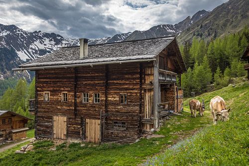 Hutten op de Oberstalleralm (1.870 m) in het achterste Villgratental