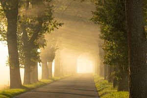 Schönes Licht über einer Straße in Drenthe