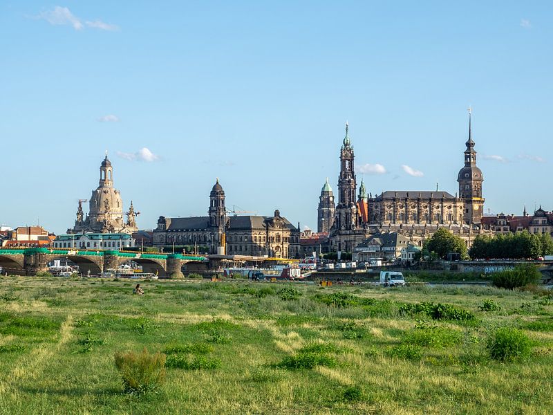 Dresden skyline on the banks of the river Elbe by Animaflora PicsStock