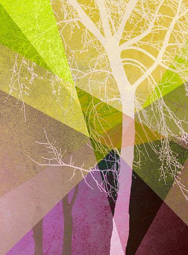 P22-A TREES AND TRIANGLES