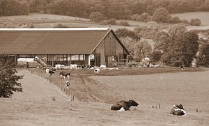 Bauernhaus in Sepia