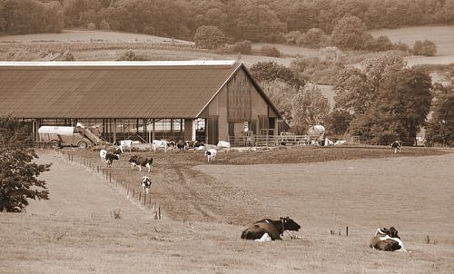 Boerderij in sepia