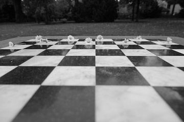 Chess with daisies van Framed by Elisabeth