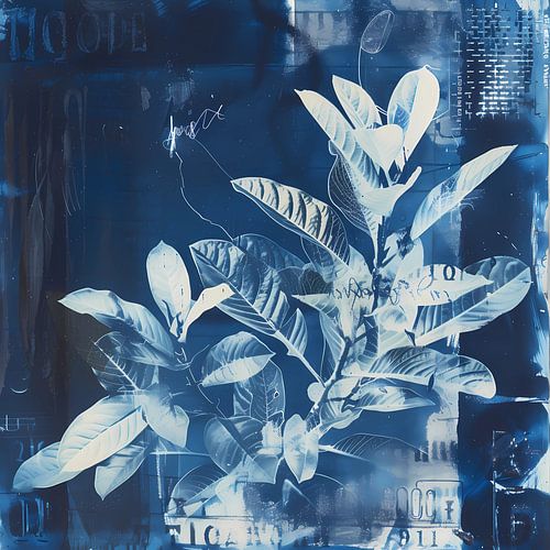 blauw cyanotype silhouet plant