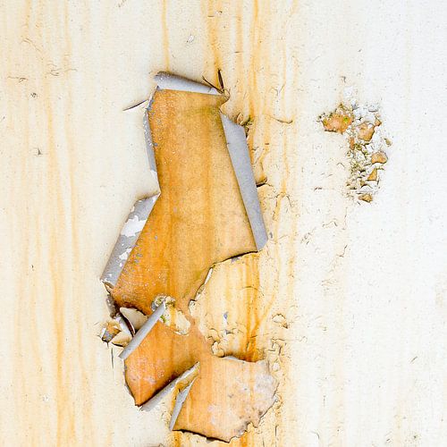 Blanc rouillé et jaune - étude 4