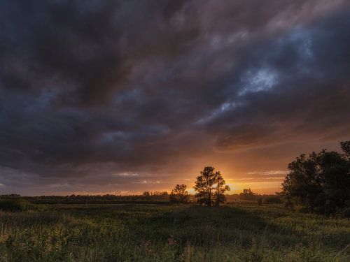 Als de avond valt in de Biesbosch