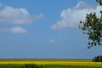 Durch den Seedyk von By Foto Joukje