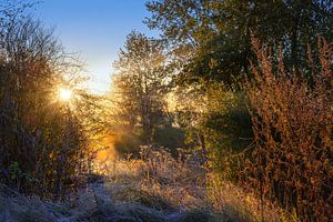 zonsopgang op het platteland in een natuurlijk landschap op een koude herfstochtend van Maren Winter