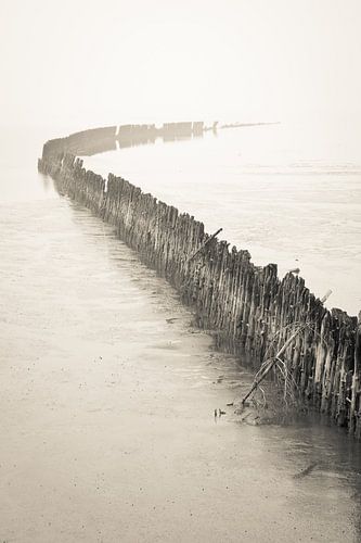 Seewand im Nebel