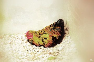 Chick in the corner van SophArtNow