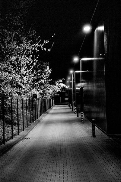 The path next to a warehouse by Norbert Sülzner