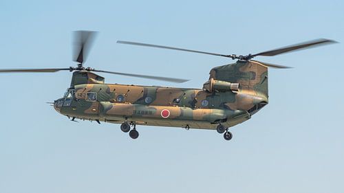 Japanse Boeing CH-47J Chinook transporthelikopter.