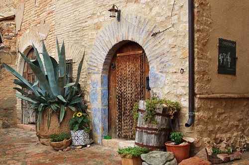 Jardin intérieur espagnol