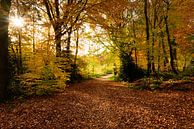 Bronzewälder in Limburg von Peter van den Bosch Miniaturansicht