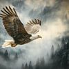 Eagle Freedom Above Misty Mountains - Majestic Scene by Beeld Creaties Ed Steenhoek | Photography and Artificial Images