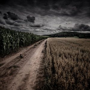 Between fields, the other side van Ruud Peters