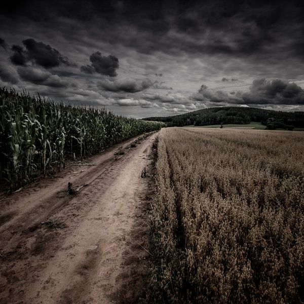 Between fields, the other side von Ruud Peters