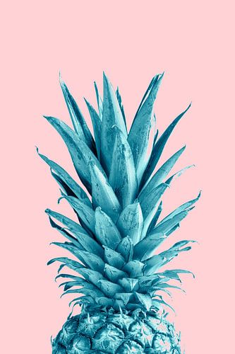 Ananas Roze 07
