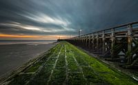 sunset Newport