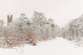 It's a real winter with the snow in Radio Kootwijk by Hans de Waay