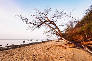 Die Ostseeküste auf der Insel Rügen