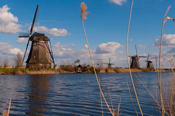 Kinderdijk Holland World Heritage van Brian Morgan