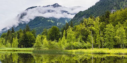 Waterreflectie in de heidevijver, bij Oberstdorf
