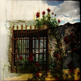 Fenster in meine Seele von Lucia