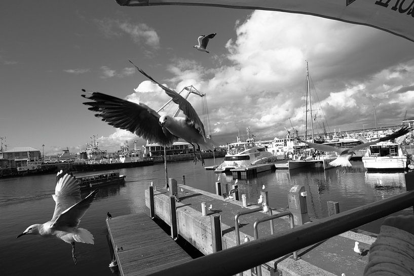 waterfront cape town by Olaf Franke