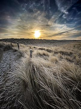 Pettense duinen met vorst van Peter van der Waard