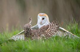 Give me a hug! by Larissa Rand