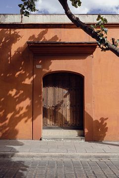 Door in Mexico with Shadows I Travel Photography by Lizzy Komen