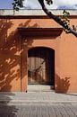 Door in Mexico with Shadows I Travel Photography by Lizzy Komen thumbnail
