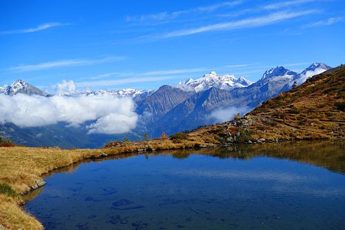 Autumnal vegetation by a mountain lake