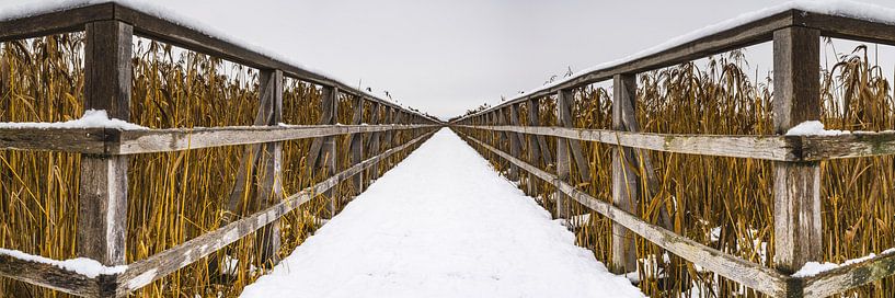 Federsee nature reserve by Walter G. Allgöwer