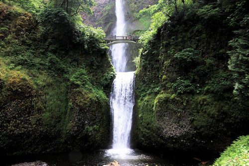 multnomah falls oregon
