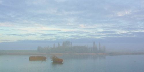 Brouillard sur la digue en coquillage