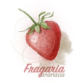 Fragaria Ananassa von Ingrid Joustra