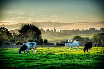Sonnenaufgang auf dem Feld
