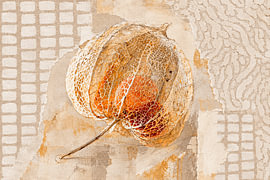 Botanische Mixed-Media-Kunst: Lampionblume (Physalis) mit Blattadernstruktur