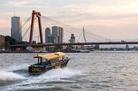 Watertaxi met Willemsbrug
