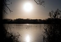 Die Wintersonne 4