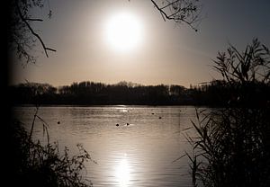 Le soleil d'hiver 4