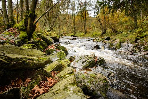Rivier in de Eifel (Duitsland)