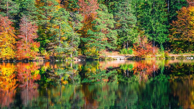 Automne Lac avec forêt par Mustafa Kurnaz