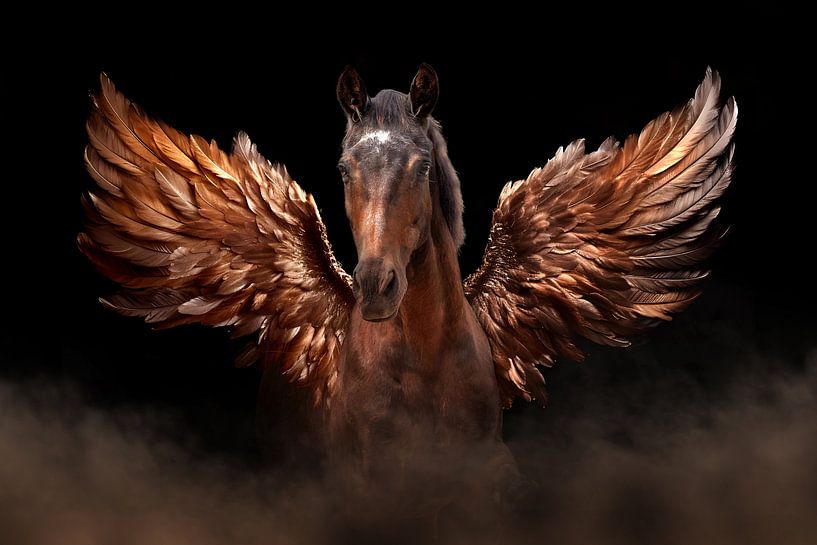 Pegasus, horse with wings by Cynthia Verbruggen
