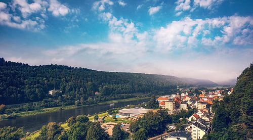 Panorama uitzicht op de Elbe in Bad Schandau