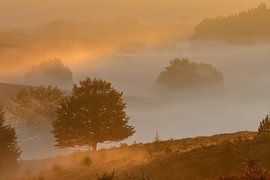 Stimmungsvoller Sonnenaufgang auf der Posbank von Timo de Kruif